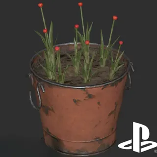 Pot O’Carnal Wheeper