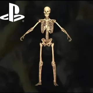 Dr Bones