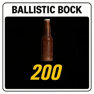 x200 Ballistic Block