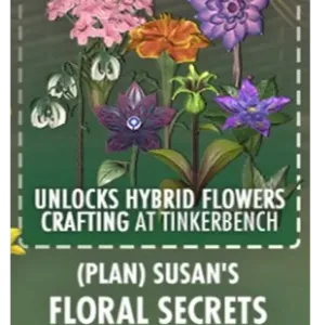 Susan’s Floral Secrets