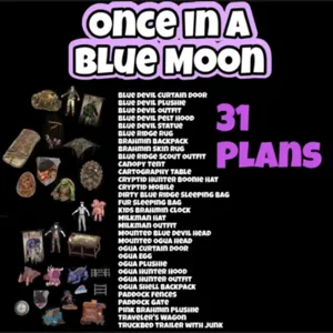 31 Plans Bundle