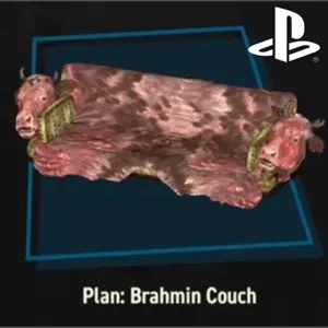 Brahmin Couch