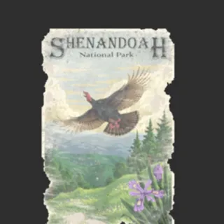 Shenandoah Turkey Poster