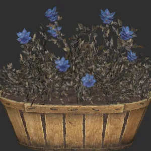 Flower Box - Soot Flower