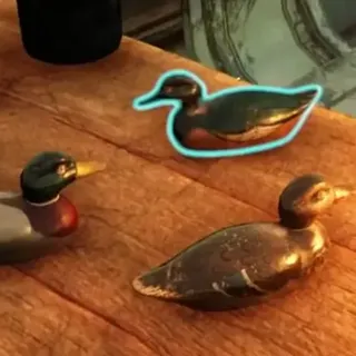 Decoy Ducks