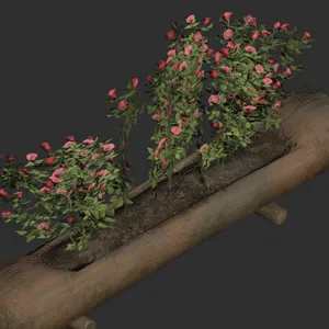 Helvetian Flower Display
