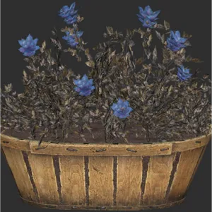 Flower Box - Soot Flower