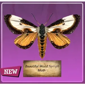 Taxidermy Beautiful Wood