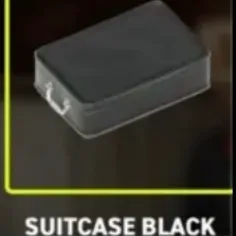 Suitcase Black