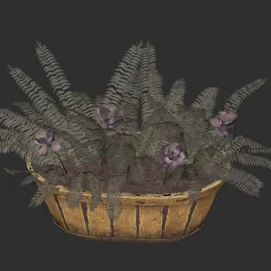Flower Box Mutated Fern