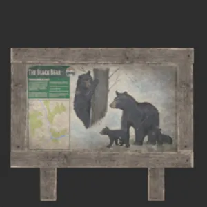 Wildlife Bear Trail Sign