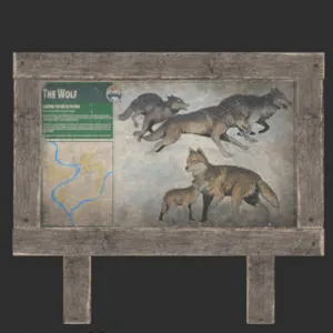 Wildlife Wolf Trail Sign