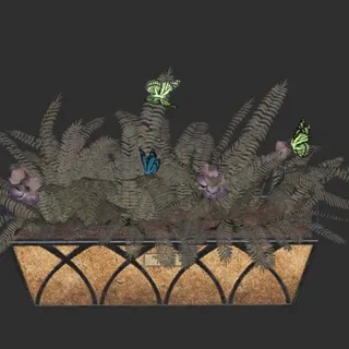 Flowering Box Mutated