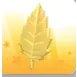 Golden Leaf