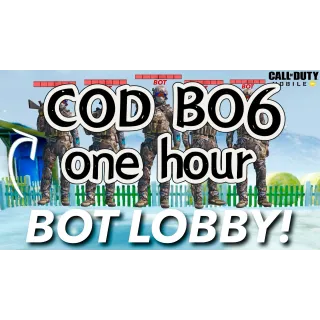 🔥🔥 Bot Lobby HC Nuketown 1 Hour🔥🔥 COD21 BO6