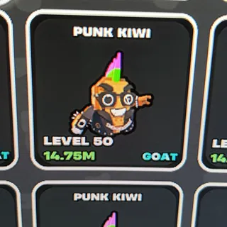 8x PUNK KIWI