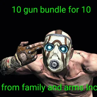 10 Gun Bundle