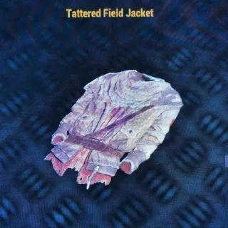 Tattered Field Jacket