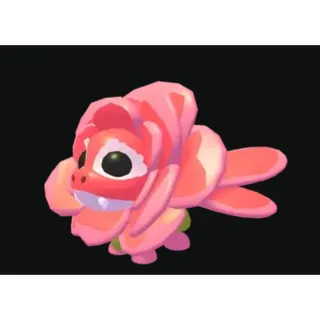 Rose Dragon - adopt me