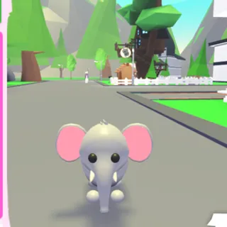 Elephant