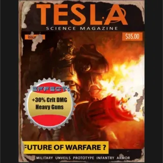 1000 Tesla 9 magazines