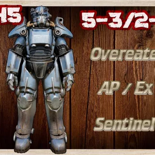 OE 3AP 2Exp Sent T45