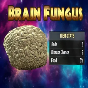 brain fungus X100