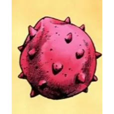 35x Rokakaka Seeds - bridger:WESTERN