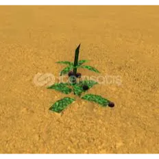 50x Dogbane Herbs - bridger:WESTERN