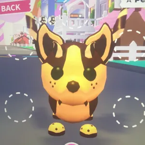 Chocolate Bat Dragon FR