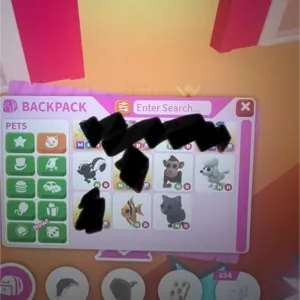 Adopt me NR Pet bundle