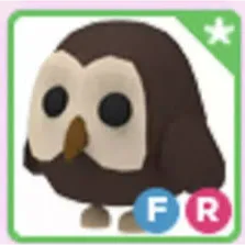 FR OWL
