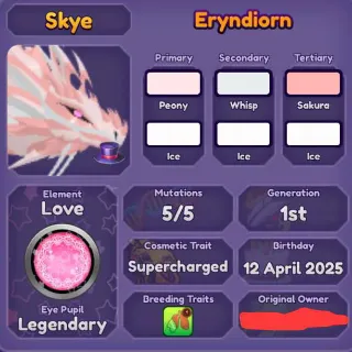 Dragon Adventures | Eryndiorn