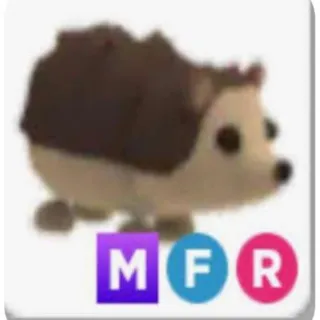 Mfr Hedgehog
