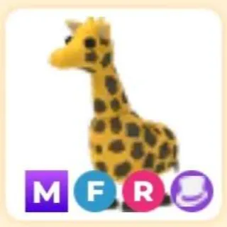 Mfr Giraffe