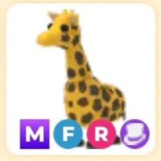 Mfr Giraffe