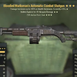 B/Ex/25AP Combat Shotgun