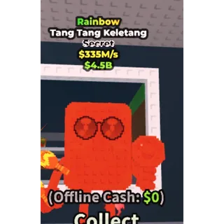 Rainbow 335M/s Tang Tang Keletang