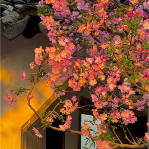 GOLD S10 HOLO SMITTY