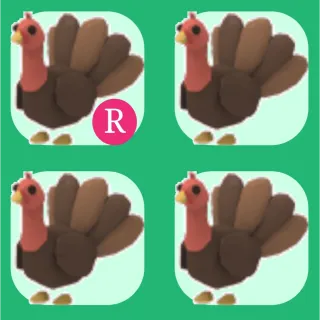 1x Ride 3x Normal turkey 