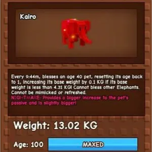 13KG RAINBOW HATCHED ELE