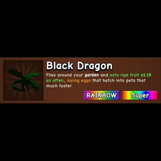 BLACK DRAGON RAINBOW
