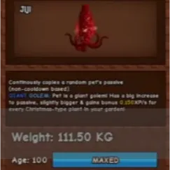 111KG RUBY SQUID GG