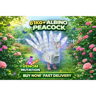 62KG ALBINO PEACOCK VENOM CHEAPEST