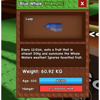 60KG BLUE WHALE CHEAPEST