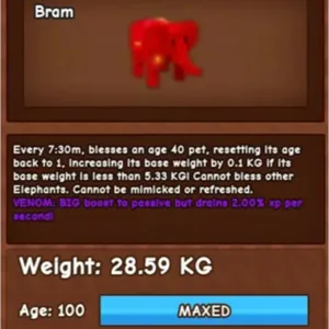 28KG RBH ELEPHANT