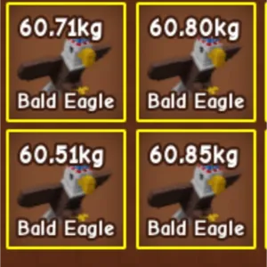 4X BALD EAGLE 60-61KG NM