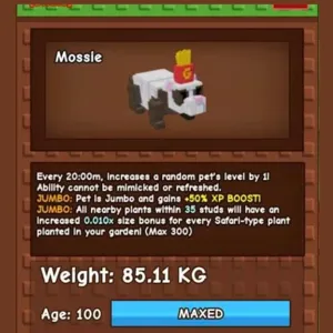 85KG FRENCH FRY FERRET