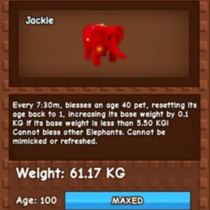 61KG RAINBOW HATCH ELE