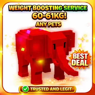 RBH ELE KG BOOSTING SERVICE